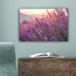 Lavendel - Paars - Zonlicht canvas 2cm klein -sfeer4