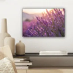 Lavendel - Paars - Zonlicht canvas 2cm klein -sfeer6