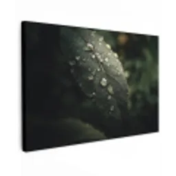Blad - Groen - Nerven - Regendruppels canvas 2cm klein -z3d