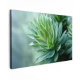 Blad - Plant - Groen - Textuur canvas 2cm klein -z3d