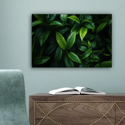 Bladeren - Regendruppels - Licht - Groen canvas 2cm klein -sfeer4