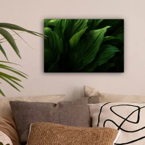 Bladeren - Schaduw - Groen - Textuur canvas 2cm klein -sfeer1