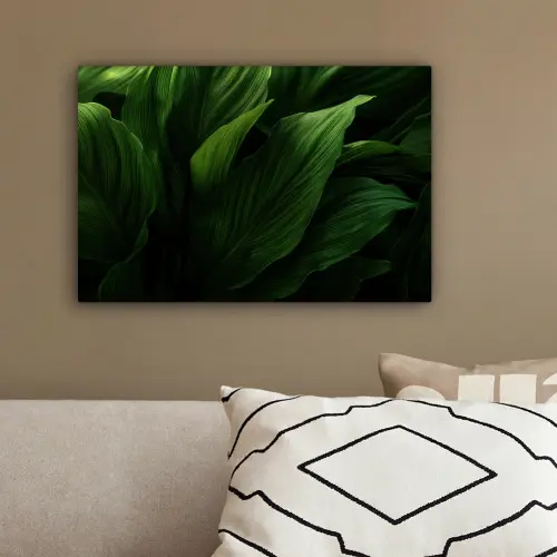 Bladeren - Schaduw - Groen - Textuur canvas 2cm klein -sfeer3