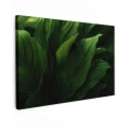 Bladeren - Schaduw - Groen - Textuur canvas 2cm klein -z3d