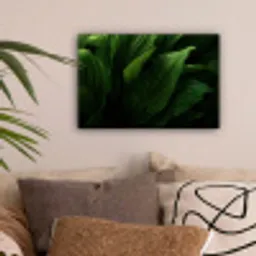 Bladeren - Schaduw - Groen - Textuur canvas 2cm klein -sfeer1