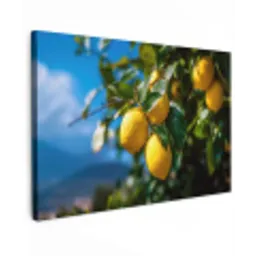 Citroenen - Bladeren - Blauwe lucht canvas 2cm klein -z3d
