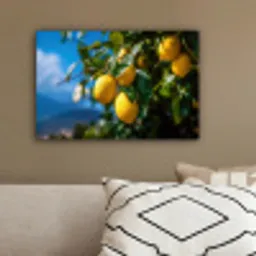 Citroenen - Bladeren - Blauwe lucht canvas 2cm klein -sfeer3