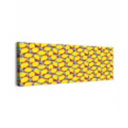 Citroenen - Geel - Stippen - Oranje canvas 2cm klein 828 -z3d