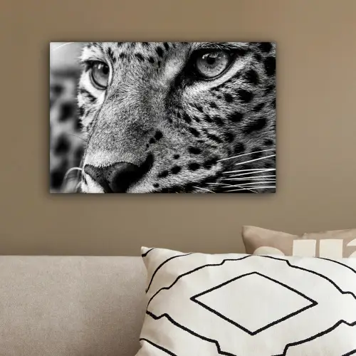 Luipaard - Zwart - Wit - Oog canvas 2cm klein -sfeer3