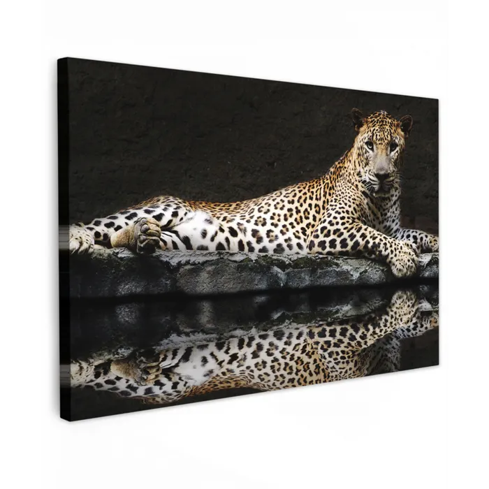 Luipaard - Water - Bos canvas 2cm klein -z3d