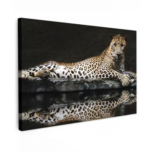 Luipaard - Water - Bos canvas 2cm klein -z3d