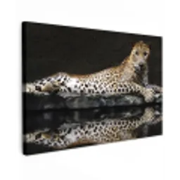 Luipaard  - Water - Bos canvas 2cm klein -z3d