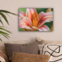 Lelie - Close up - Lichtroze canvas 2cm klein -sfeer1