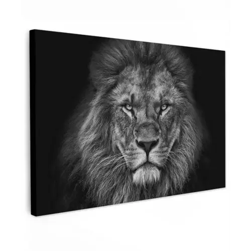 Leeuw - Dieren - Zwart - Wit canvas 2cm klein -z3d