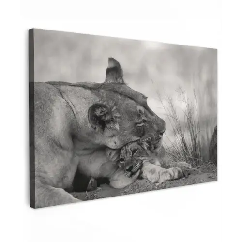 Leeuwin - Welp - Zwart canvas 2cm klein -z3d