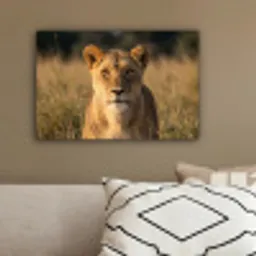 Leeuwin - Gras - Geel canvas 2cm klein -sfeer3