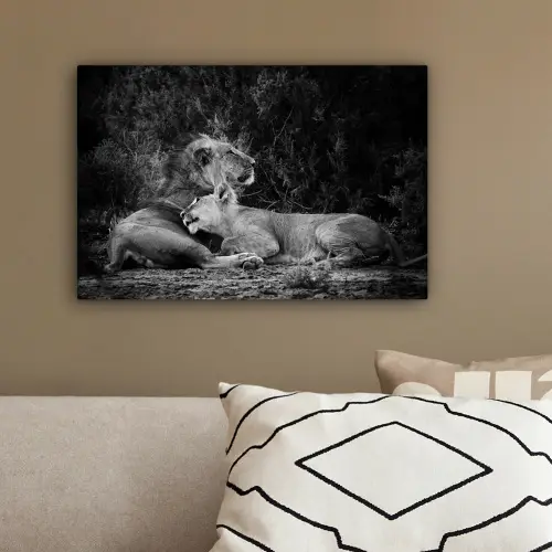 Leeuwen - Zwart - Wilde dieren canvas 2cm klein -sfeer3