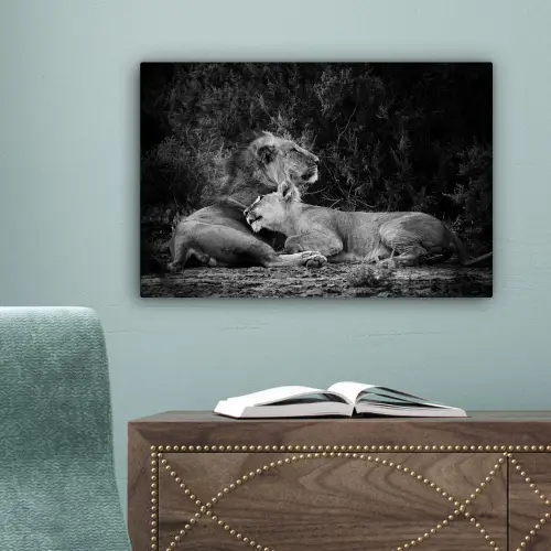 Leeuwen - Zwart - Wilde dieren canvas 2cm klein -sfeer4