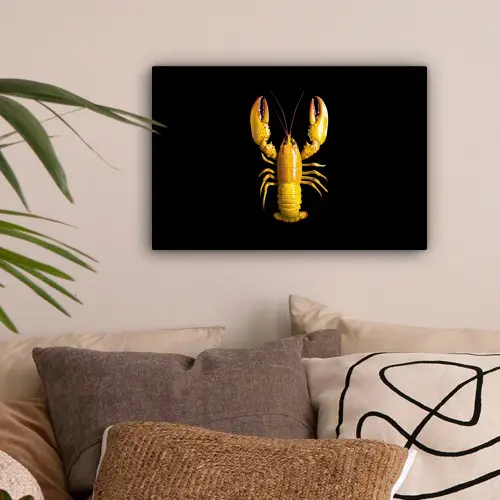 Kreeft - Geel - Stippen - Effen canvas 2cm klein -sfeer1
