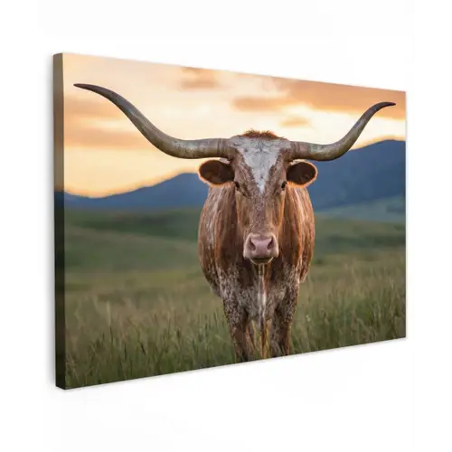 Longhorn - Landschap - Zonsondergang canvas 2cm klein -z3d