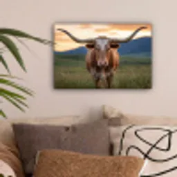 Longhorn - Landschap - Zonsondergang canvas 2cm klein -sfeer1