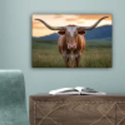 Longhorn - Landschap - Zonsondergang canvas 2cm klein -sfeer4