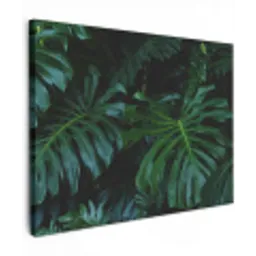 Monstera -  Inductie beschermer - Bladeren - Tropical - Afdekplaat voor kookplaat canvas 2cm klein -z3d