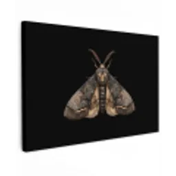 Mot - Bladachtig - Grijs canvas 2cm klein -z3d