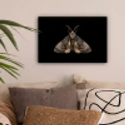 Mot - Bladachtig - Grijs canvas 2cm klein -sfeer1
