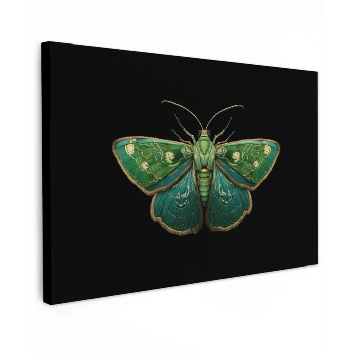 Mot - Levendig - Groen canvas 2cm klein -z3d