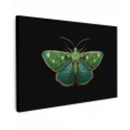 Mot - Levendig - Groen canvas 2cm klein -z3d