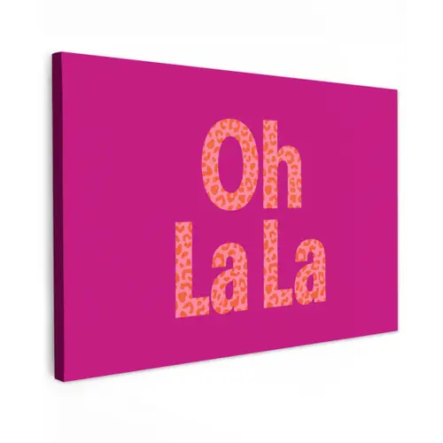 Oh la la - Luipaardprint - Roze canvas 2cm klein -z3d