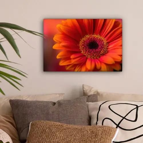 Oranje - Gerbera - Intens canvas 2cm klein -sfeer1