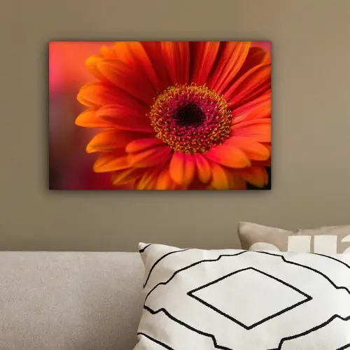 Oranje - Gerbera - Intens canvas 2cm klein -sfeer3