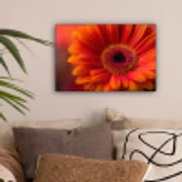 Oranje - Gerbera - Intens canvas 2cm klein -sfeer1