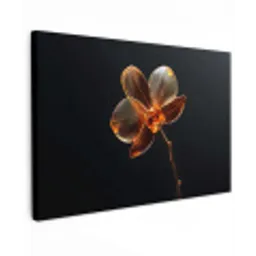 Orchidee - Doorzichtig - Bloem canvas 2cm klein -z3d