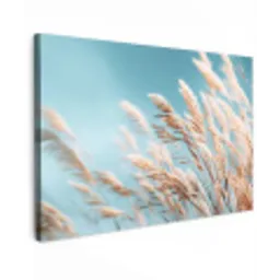 Siergras - Wind - Lichtbruin canvas 2cm klein -z3d