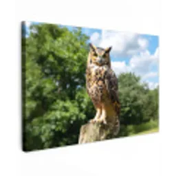 Uil - Boomstronk - Bos - Lucht canvas 2cm klein -z3d