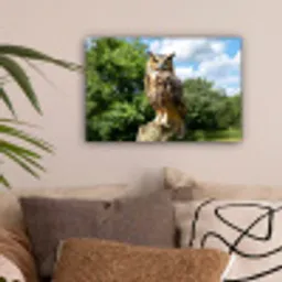 Uil - Boomstronk - Bos - Lucht canvas 2cm klein -sfeer1