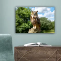 Uil - Boomstronk - Bos - Lucht canvas 2cm klein -sfeer4