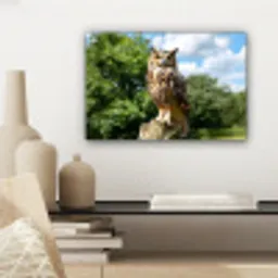 Uil - Boomstronk - Bos - Lucht canvas 2cm klein -sfeer6