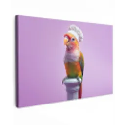Papegaai - Koksmuts - Pilaar - Vogel canvas 2cm klein -z3d