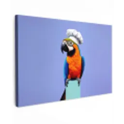 Papegaai - Koksmuts - Vogel - Leuk canvas 2cm klein -z3d