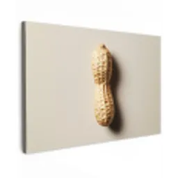 Pinda - Ruw - Beige canvas 2cm klein -z3d