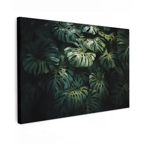 Plant - Monstera - Lichtinval canvas 2cm klein -z3d