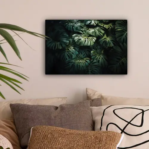 Plant - Monstera - Lichtinval canvas 2cm klein -sfeer1