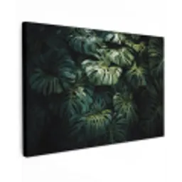 Plant - Monstera - Lichtinval canvas 2cm klein -z3d