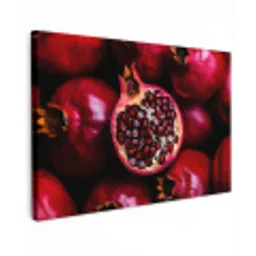 Granaatappel - Rood - Fruit canvas 2cm klein -z3d