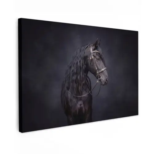 Portret - Paard - Donker canvas 2cm klein -z3d