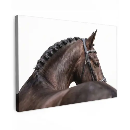 Portret - Paard - Elegant canvas 2cm klein -z3d